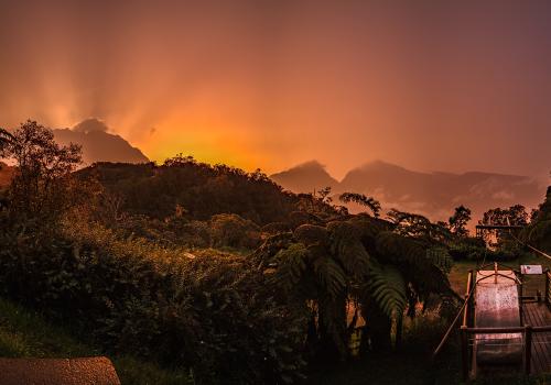 group-0-03122016-k1jf8947_03122016-k1jf8959-13-images_gite_de_belouve_c_parc_national_de_la_reunion_-_jean-francois_begue.jpg