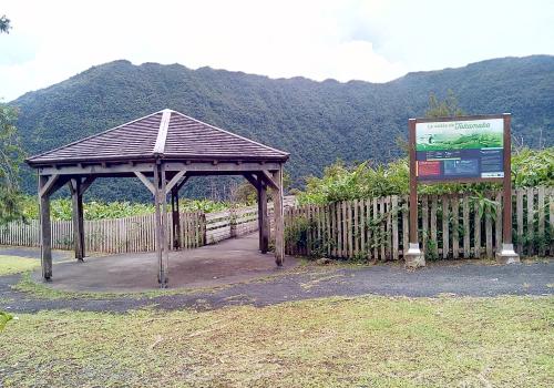img_20180205_142658_takamaka_c_parc_national_de_la_reunion_-_mikael_alpha.jpg