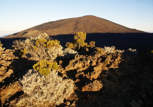 journees_personnels_parc_volcan_27-28_viii_09_102.jpg