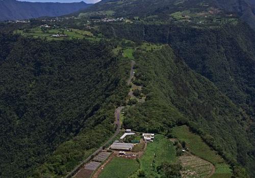 pnr_0000559bd_grand_coude_c_parc_national_de_la_reunion_-_jean-francois_begue.jpg