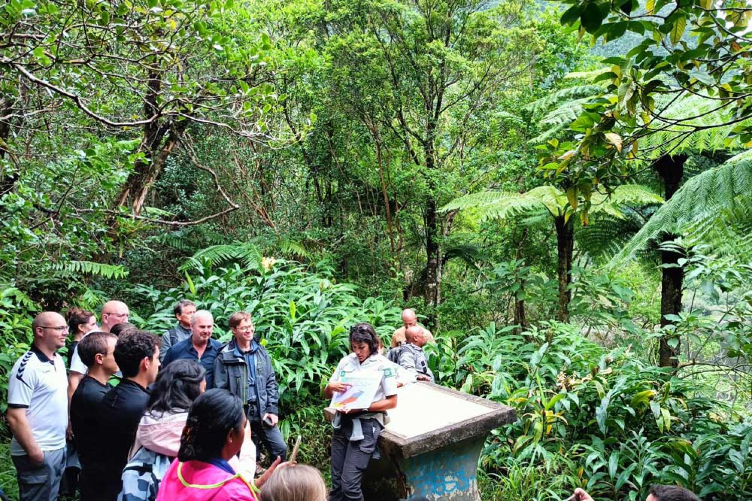 L'OFB et le Parc national de La Réunion arpentent conjointement les sentiers de Grand Étang, site emblématique de Plaine-des-Palmistes