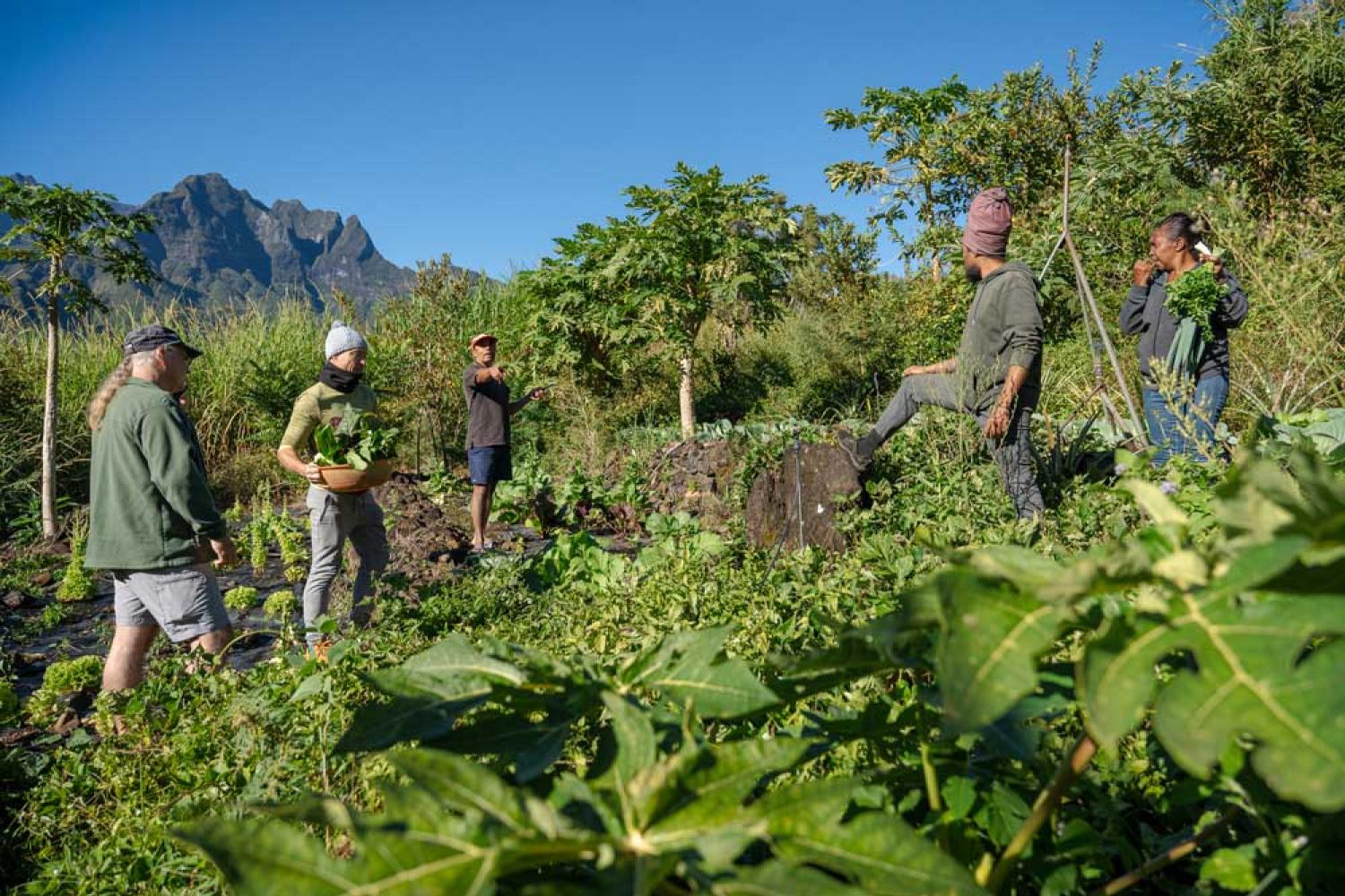 Des ateliers autour d'une alimentation saine et locale sont conduits dans le cadre du PAT Mafate 