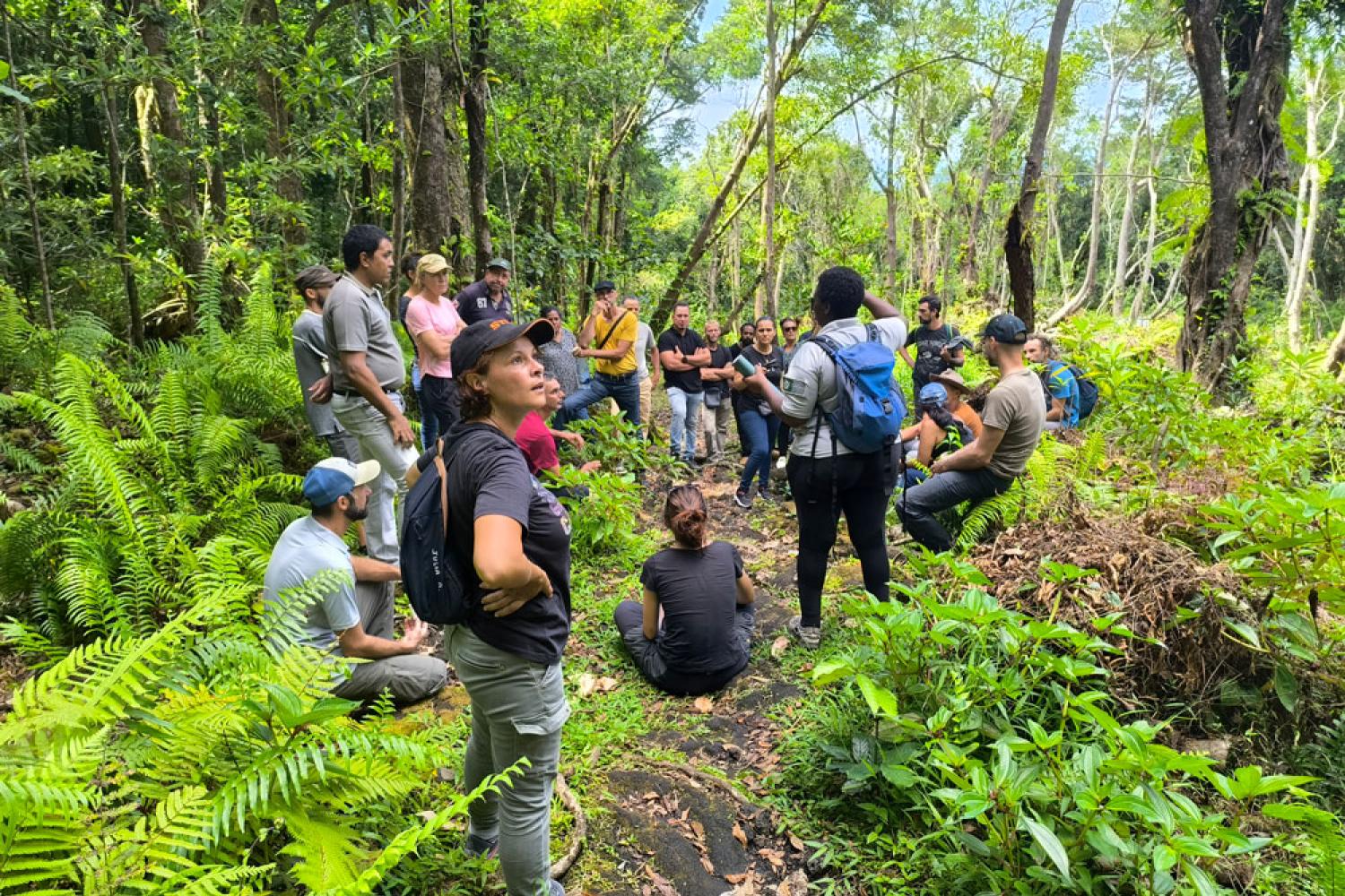 Rencontre entre agriculteurs de Saint-Philippe et Sainte-Rose autour des pratiques vertueuses  © Parc national de La Réunion