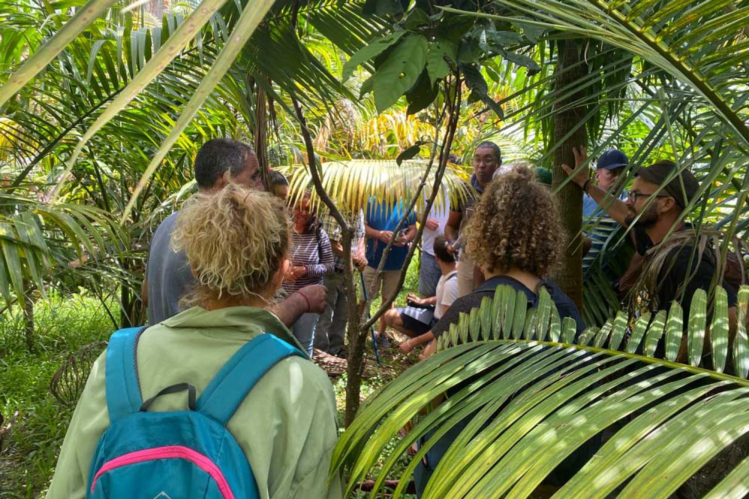 Rencontres autour de la production de cacao © A. Bera - Parc national de La Réunion