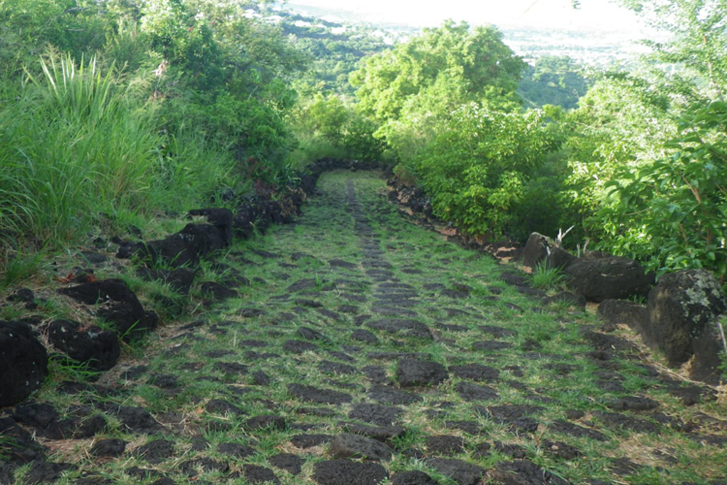 Le chemin des anglais
