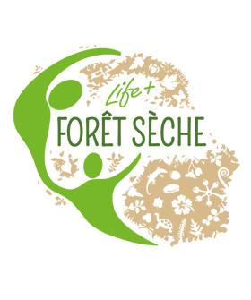 foret_seche.jpg