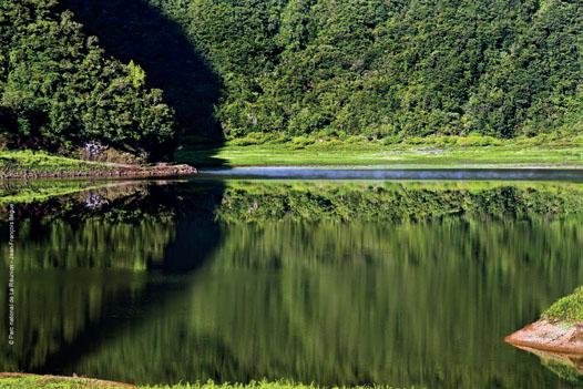 grand_etang_c_parc_national_de_la_reunion_-_jean-francois_begue.jpg