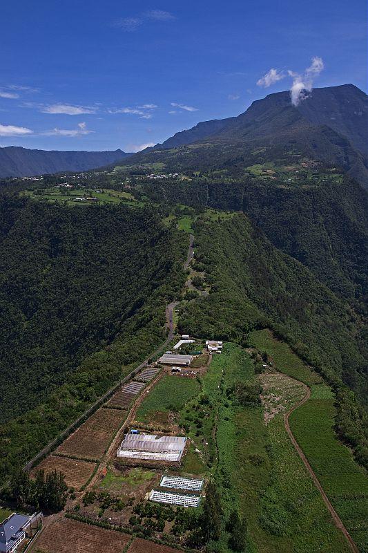 pnr_0000559bd_grand_coude_c_parc_national_de_la_reunion_-_jean-francois_begue.jpg
